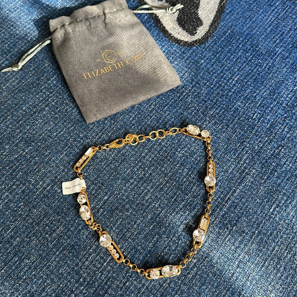 Elizabeth Cole Necklace